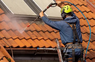 Démoussage et hydrofuge de toiture à Bosset